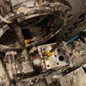 WhatsApp Image 2025-06-09 at 10.26.46 AM (1)