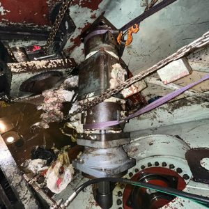 WhatsApp Image 2025-06-09 at 10.26.48 AM